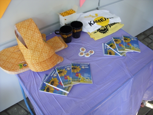 День рождения офиса компании КАМЕЛОТ в Воронеже