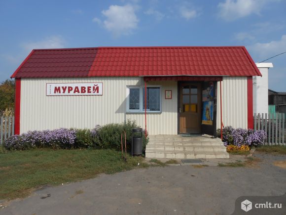 Магазин Муравей Курган Часы Работы