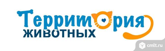 Магазин Товаров Для Животных Воронеж