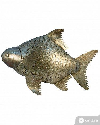 хамса балтийский берег 400 г. воронежская рыба. рыбы в океанариуме. воронежский океанариум акулы. воронежский биосферный заповедник.