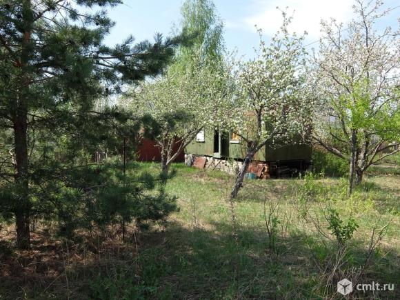 снт роща киров. снт роща нижний тагил. участок снт роща. снт роща участок 778. выборгский район ленинградской области п зеленая роща.