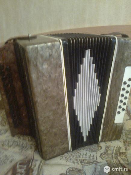 чайка гармонь логотип. купить гармонь в воронеже бу. гармошка воронеж. аккордеон вельтмайстер 3/4 рубиновый. гармонь воронеж.