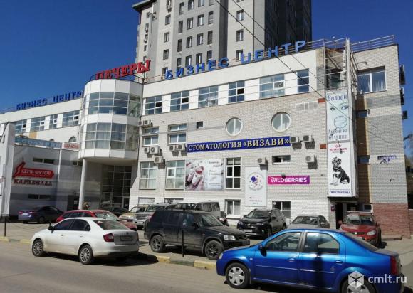 Перспектива, ветеринарная клиника, Германа Лопатина, 8, Нижний Новгород - 2ГИС