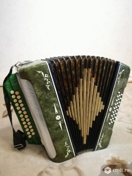гармошка воронеж. аккордеон вельтмайстер 3/4 рубиновый 1986 год. гармонь воронеж. воронежские гармошки. гармошка красный партизан.
