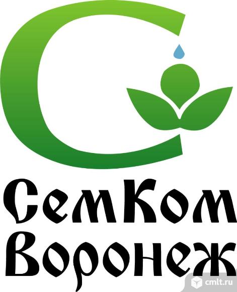 Семком. Стм собственная торговая марка. Семком воронеж. Семком воронеж. Рф интернет.