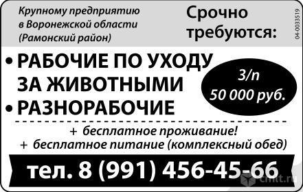 разнорабочие воронеж. работа грузчик. захаров игорь геннадьевич ярославль. разнорабочие воронеж. работа в воронеже разнорабочая.