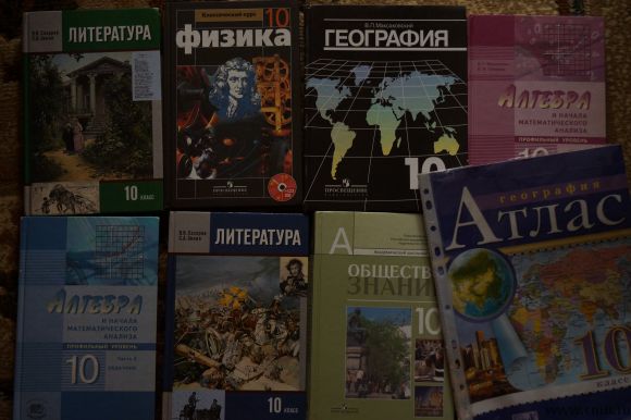 Учебник по русскому языку 10-11 класс чешко