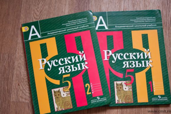 Рыбченкова 8 класс учебник читать