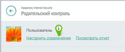 Настройки ограничений