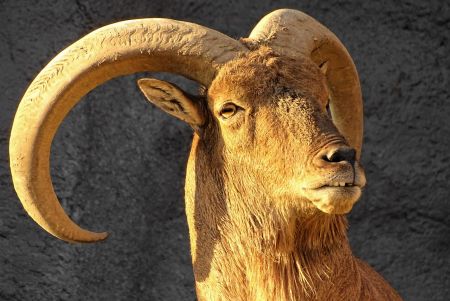 Помните, что ни один мужчина вас не стоит