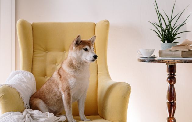 Аренда квартиры