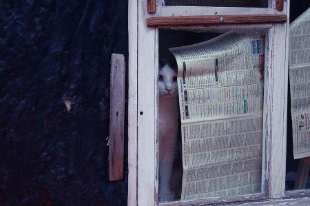 Готовим дачу к зиме