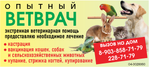 Опытный ветврач