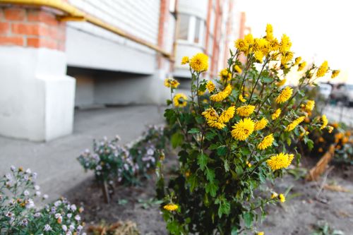 Общедомовая собственность