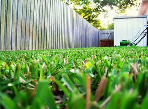 Газон своими руками