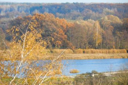Куда поехать в выходные