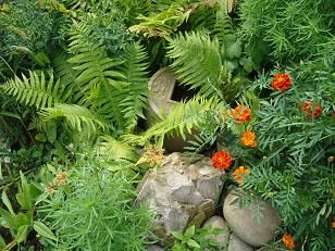 Ландшафтный дизайн своими руками