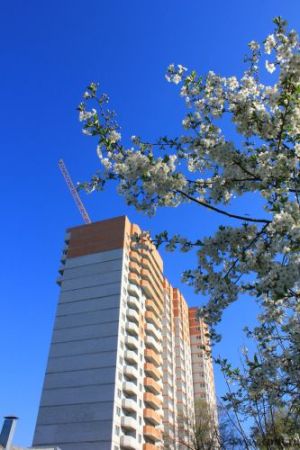 Дом в долевом строительстве