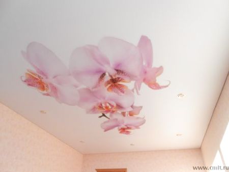 Отделка потолков