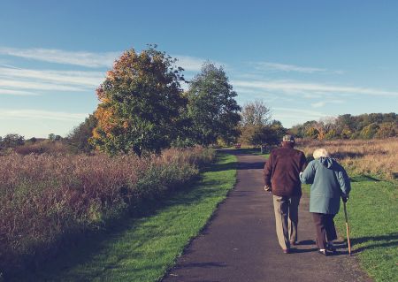Трудовая пенсия: как рассчитать