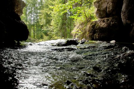 Леса и реки Южного Урала