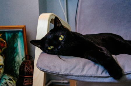 Приметы и суеверия