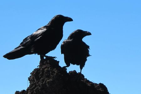 Приметы и суеверия