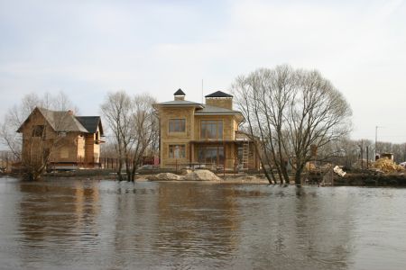 Коттедж в поселке Раздолье под Воронежем