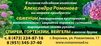 Личное подсобное хозяйство Александра Романова в Воронеже