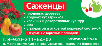 Саженцы в Воронеже