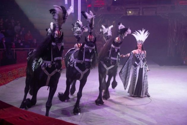 «Королевский цирк»