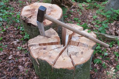 В деревне вам предложат оздоровительный труд на свежем воздухе