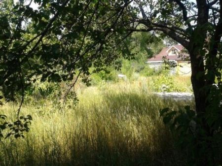 Окрестности села Подгороное