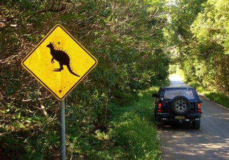 Как придумывают шутки