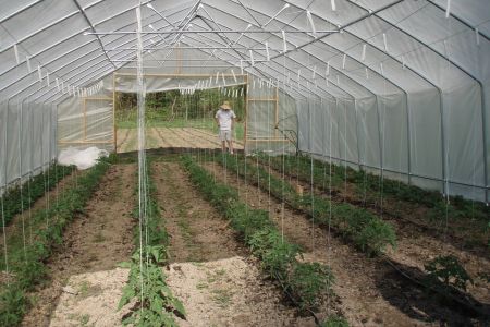 Система полива в теплице