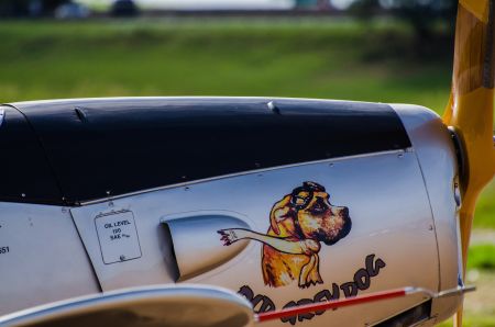 Путешествие с животными