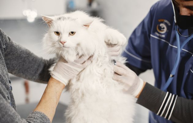 Обращайтесь к проверенным специалистам