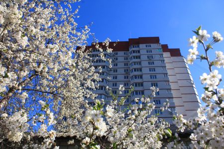 ЖК Балтийский в Воронеже